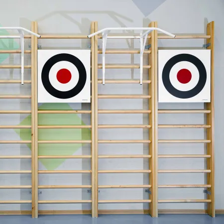 Щит для метания навесной на шведскую стенку (фанера) 700х700 ZAVODSPORTA за 8&nbsp;960 ₽ купить в Балашихе