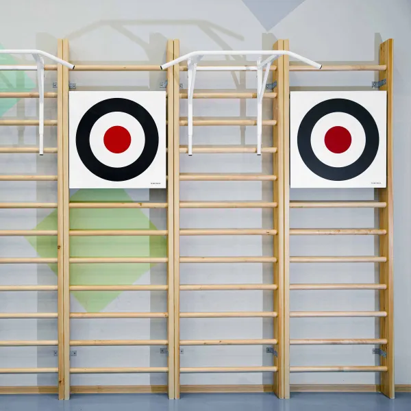 Щит для метания навесной на шведскую стенку (фанера) 700х700 ZAVODSPORTA за 8&nbsp;960 ₽ в Балашихе