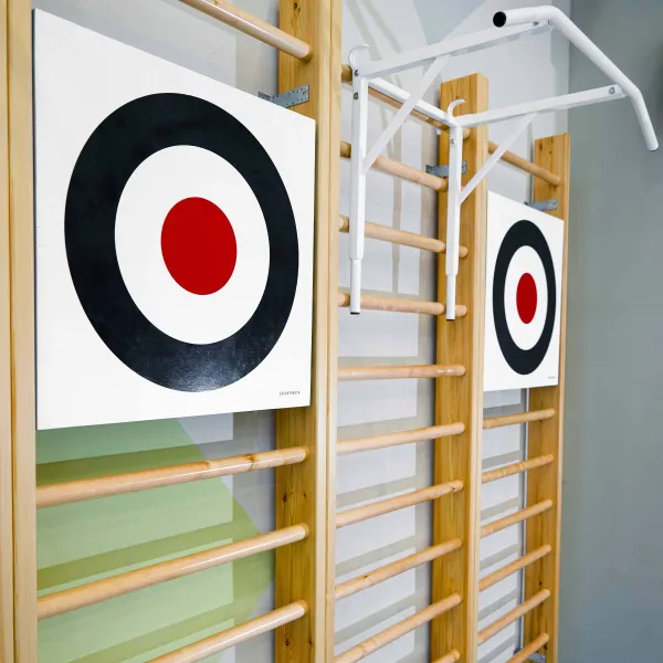 Щит для метания навесной на шведскую стенку (фанера) 700х700 ZAVODSPORTA за 8&nbsp;960 ₽ в Балашихе