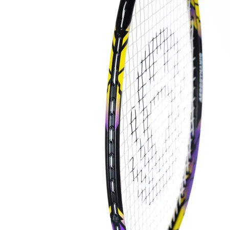 Ракетка бадм. TORRES Carbon PRO6, BD20521,для продв., стерж/обод из карбона,со струнами, фиол за 4&nbsp;477.80 ₽ купить в Балашихе