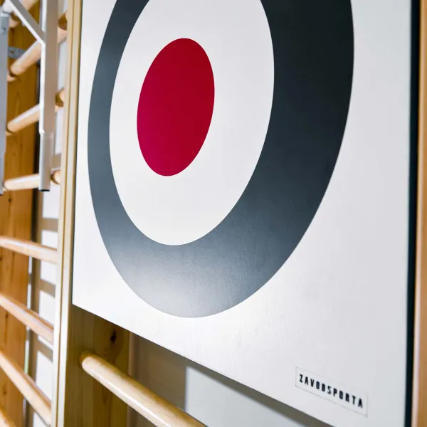 Щит для метания навесной на шведскую стенку (фанера) 700х700 ZAVODSPORTA за 8&nbsp;960 ₽ в Балашихе