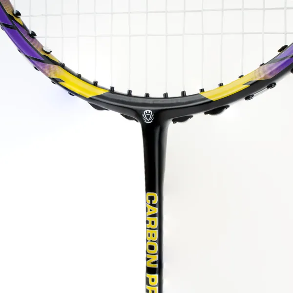Ракетка бадм. TORRES Carbon PRO6, BD20521,для продв., стерж/обод из карбона,со струнами, фиол за 4&nbsp;477.80 ₽ в Балашихе