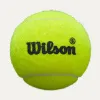Мяч для падела Wilson Premier Padel Speed, WR8908501001, уп.3 шт, FIP Appr.,сукно, нат.резина,желтый за 1&nbsp;235.90 ₽ купить в Балашихе